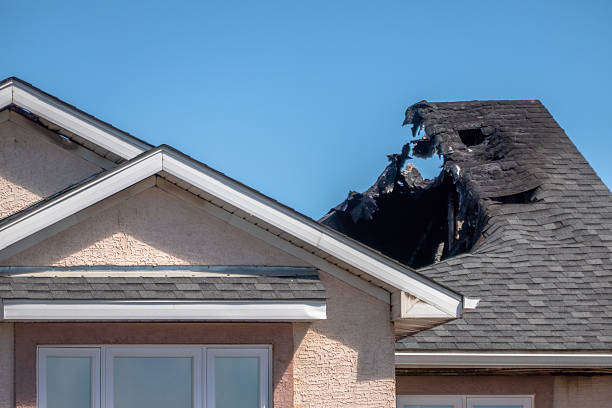 Top rated local Odor Removal specialists in Collingswood, NJ